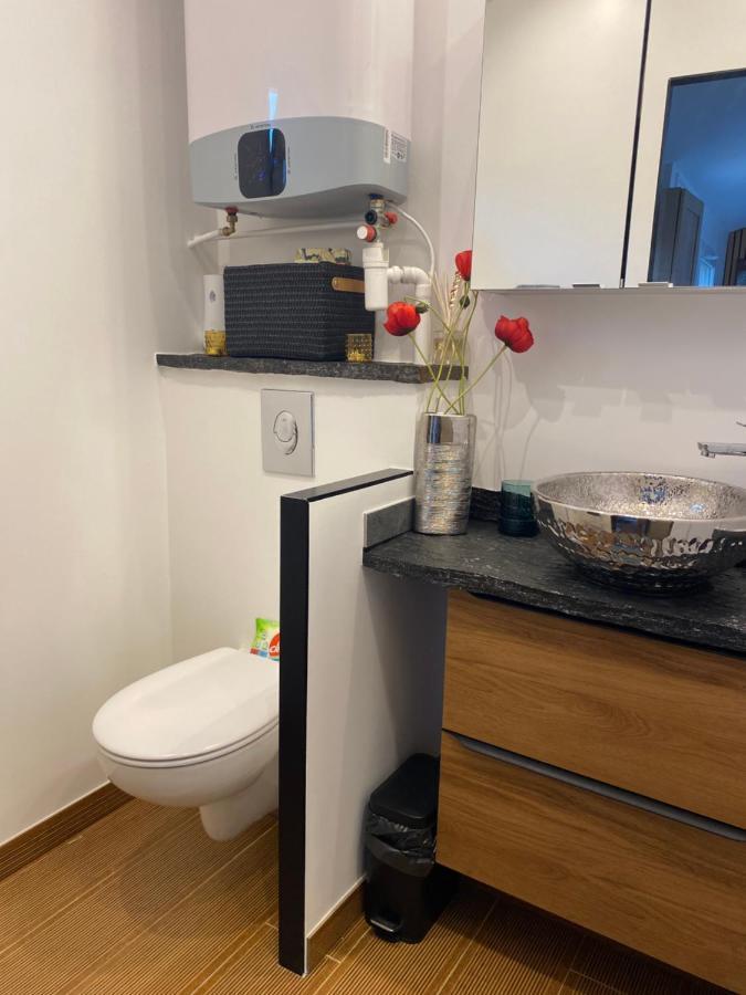 Paris-Zenith-Bienvenue-Terrasse-Netflix Apartman Pantin Kültér fotó