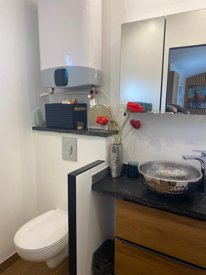 Paris-Zenith-Bienvenue-Terrasse-Netflix Apartman Pantin Kültér fotó